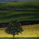 Campo-Amarillo-(50X100)